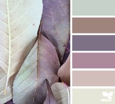 soft palette